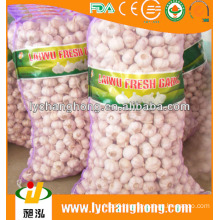 China agriculture foodstuff quality natural garlic